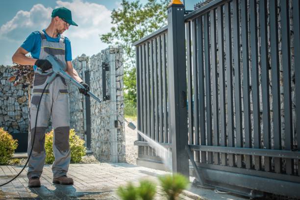 Best Solar Panel Cleaning  in Tripoli, IA