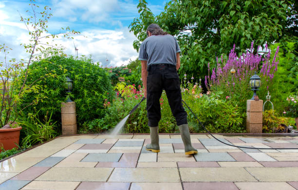 Best Sidewalk and Walkway Cleaning  in Tripoli, IA