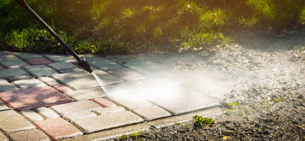 Best Spring Cleaning  in Tripoli, IA